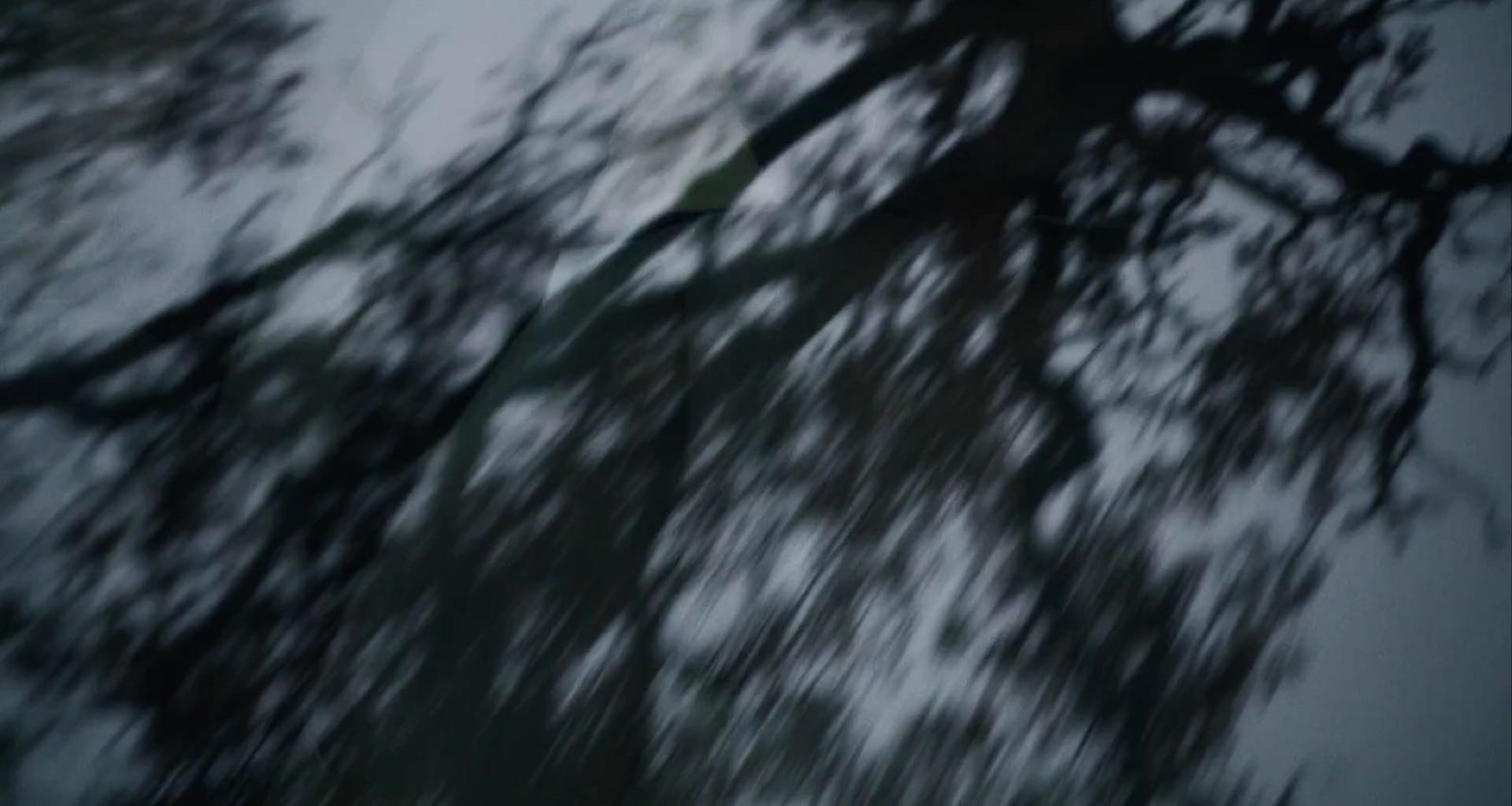 a blurry photo of a tree in the sky
