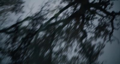 a blurry photo of a tree in the sky