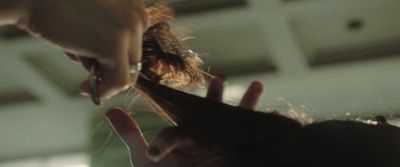 a close up of a person cutting another persons hair