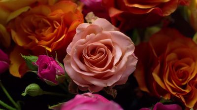 a close up of a bunch of flowers