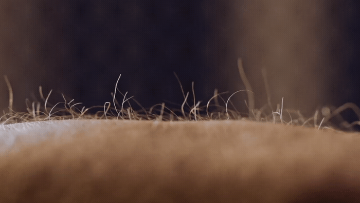 a close up of a bed with grass on top of it