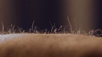 a close up of a bed with grass on top of it