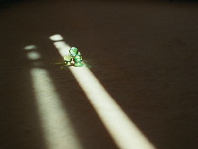 a shadow of a flower on the ground