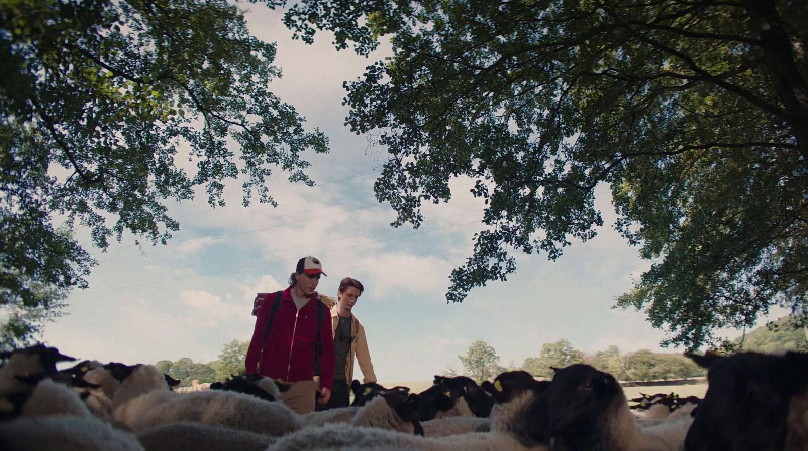 two people standing in front of a herd of sheep