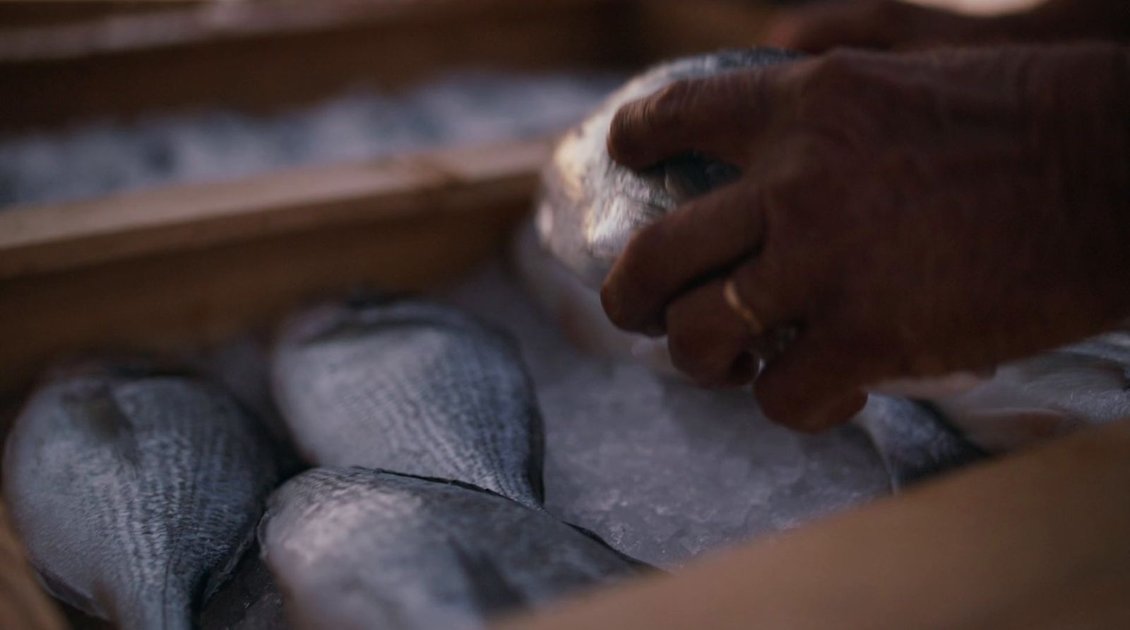 a person holding something in a wooden box