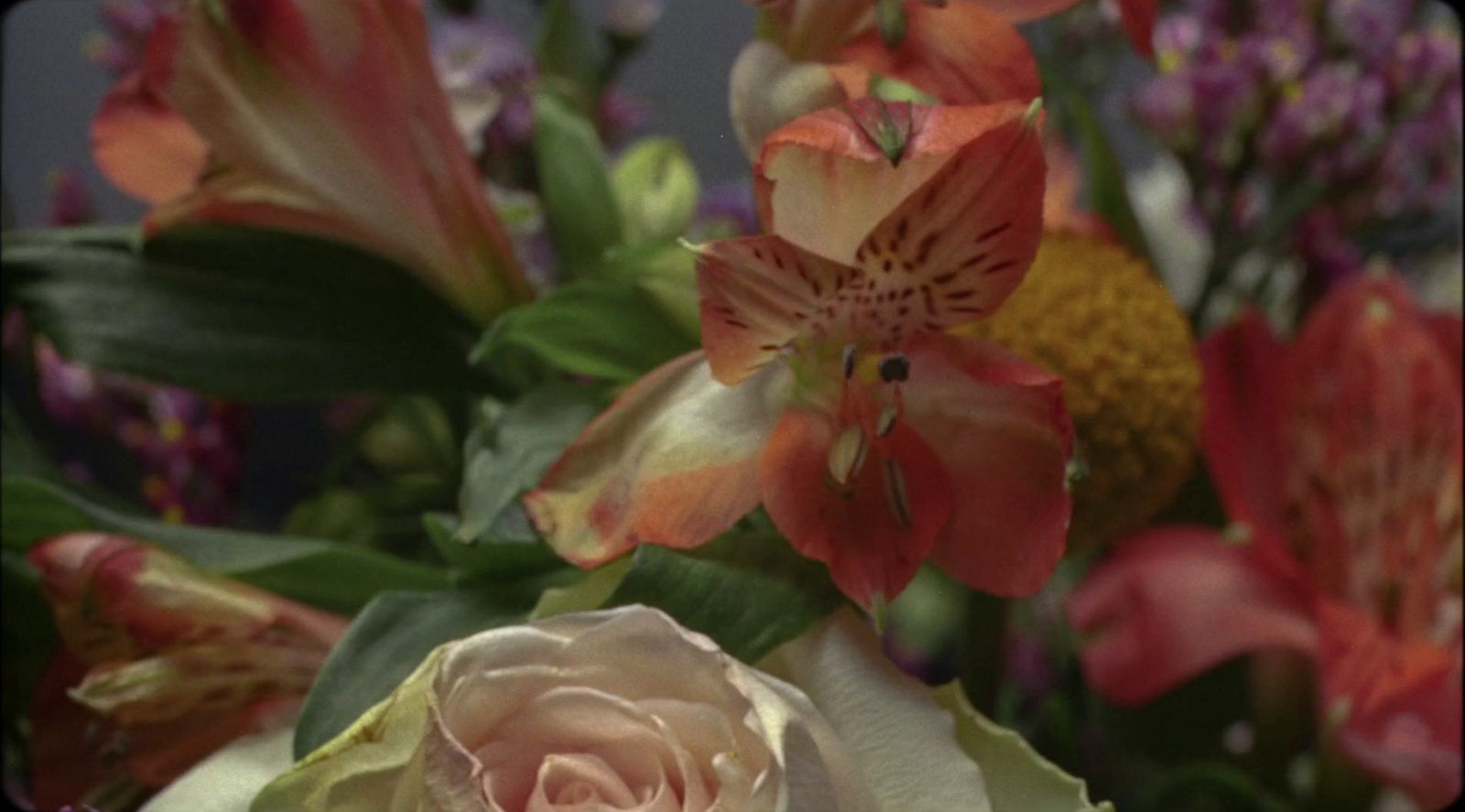 a bunch of flowers that are in a vase