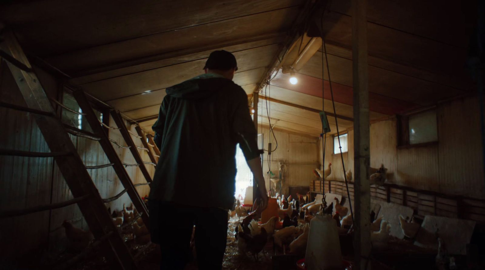 a man standing in a room full of chickens