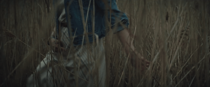 a person walking through a field of tall grass