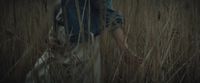 a person walking through a field of tall grass