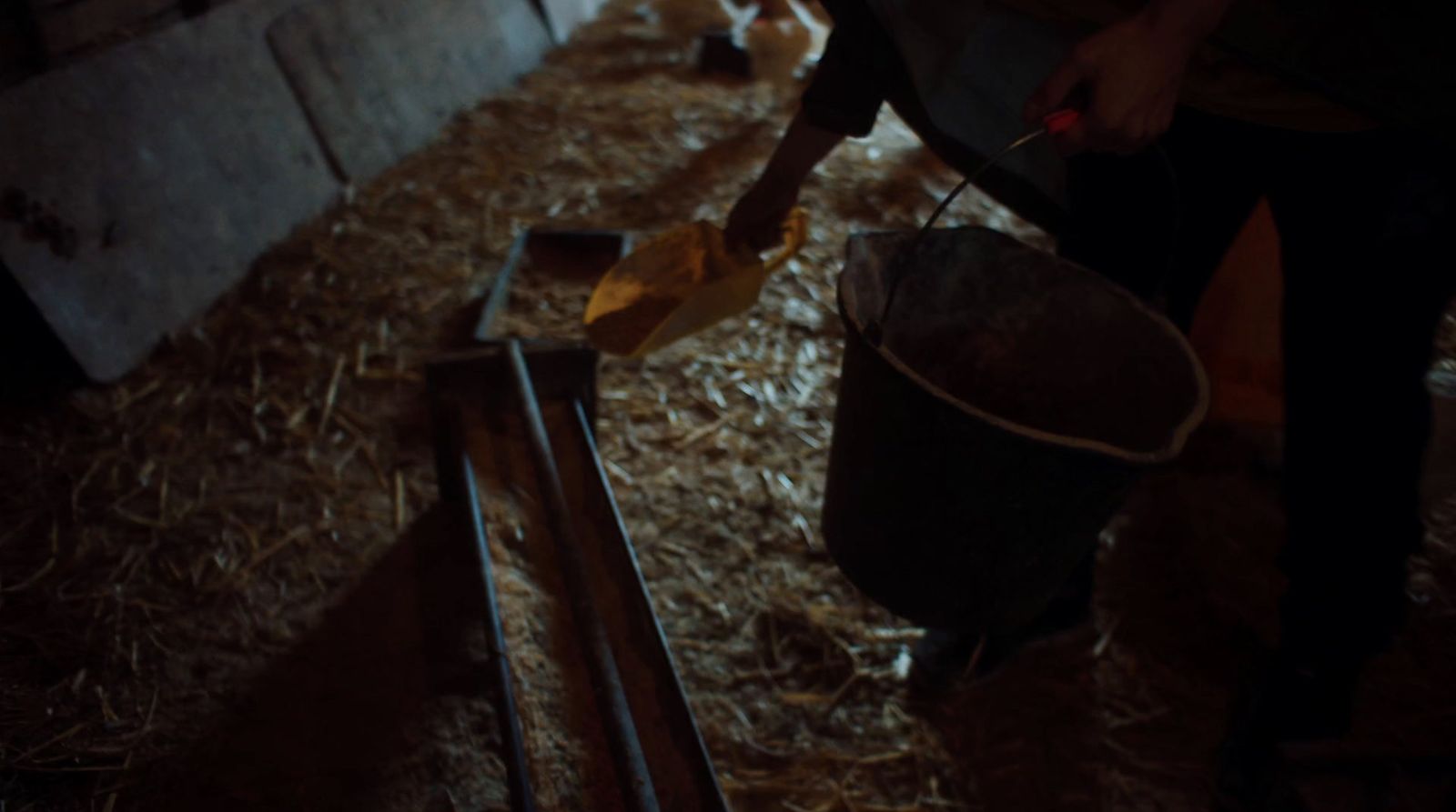 a person holding a bucket and a bucket full of hay