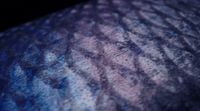 a close up of a blue and purple textured material