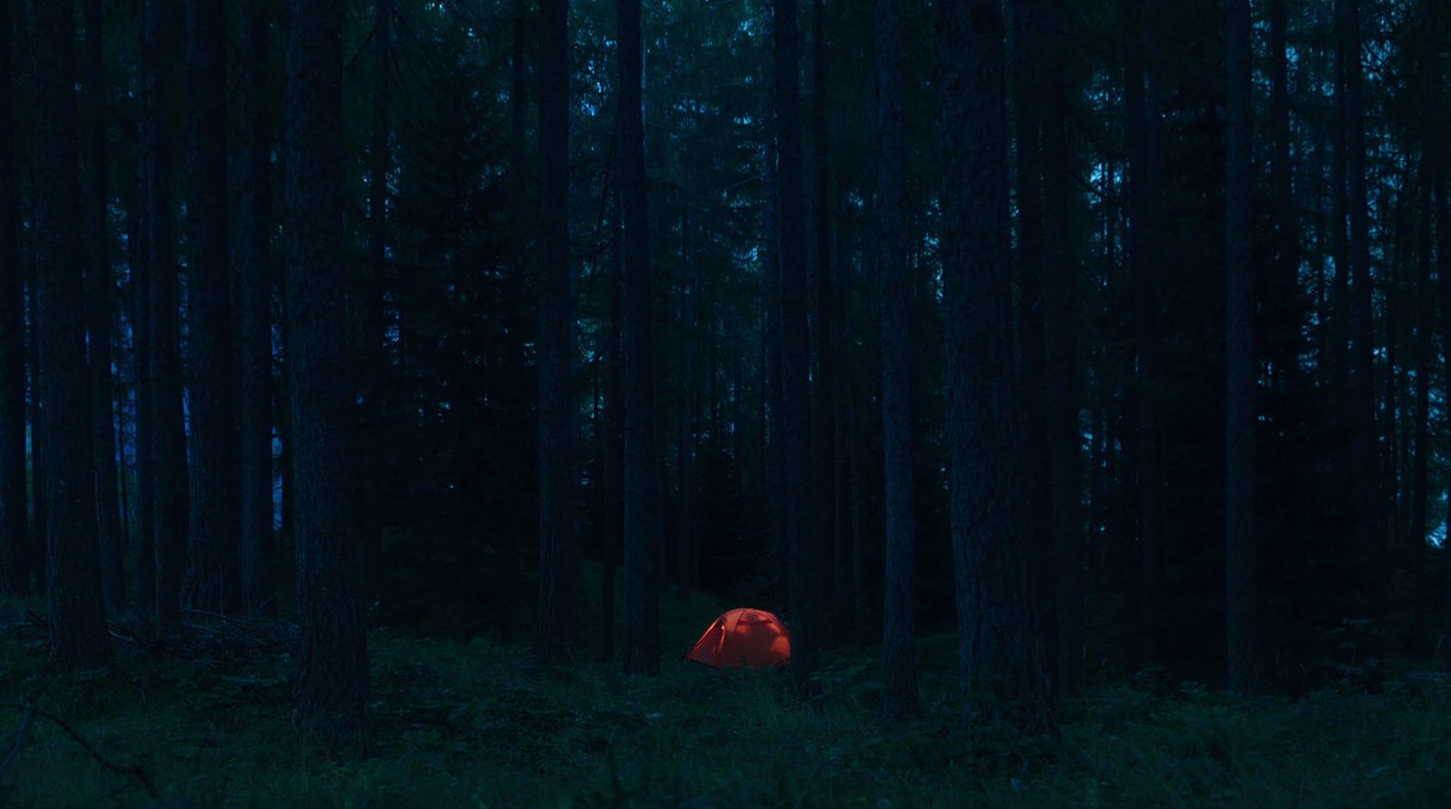 a red tent in the middle of a dark forest