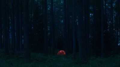 a red tent in the middle of a dark forest