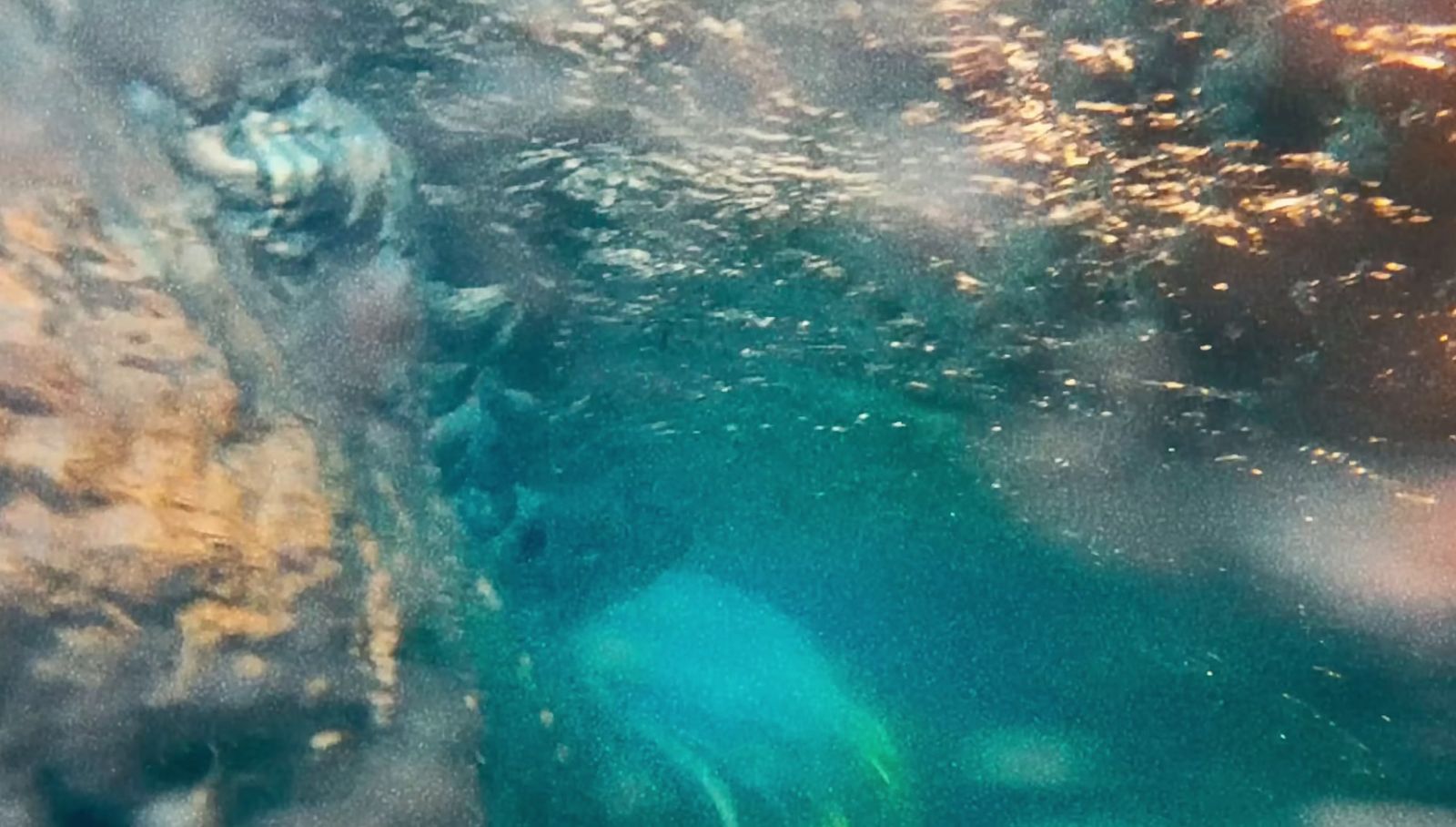 an underwater view of a body of water