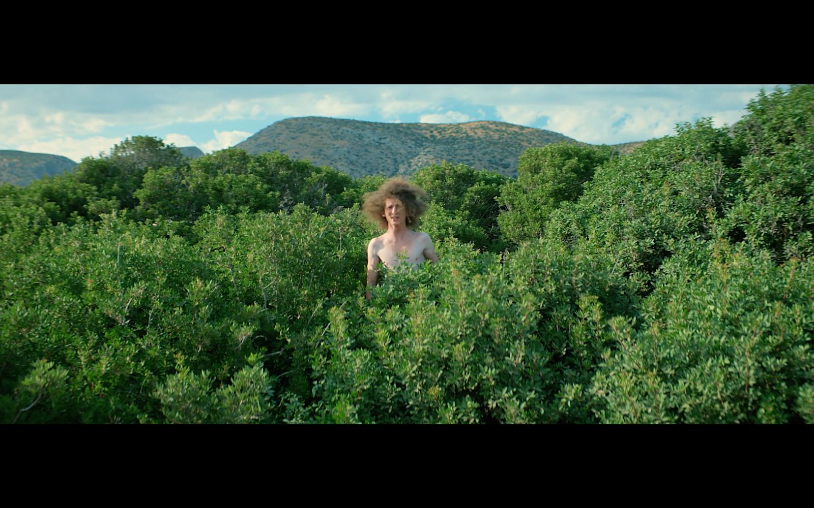 a woman standing in the middle of a lush green forest