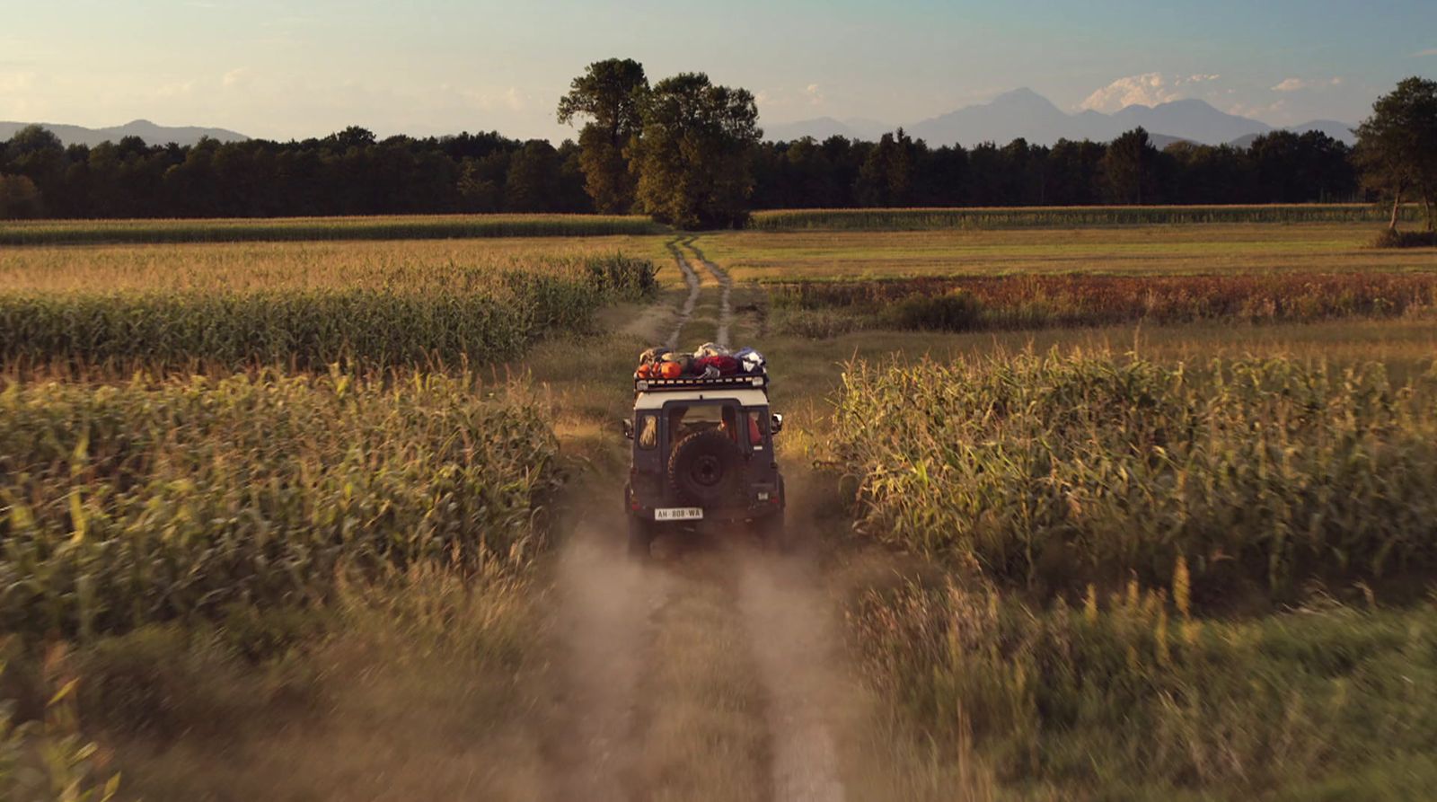 a four - wheeler driving through a field of tall grass