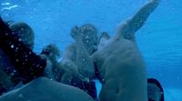 a group of people swimming under water in a pool