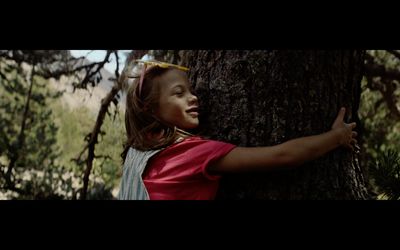 a little girl hugging a tree in the woods