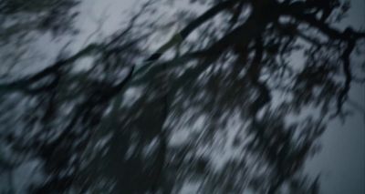 a blurry photo of a tree in the rain
