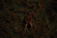 a man standing in a field of flowers