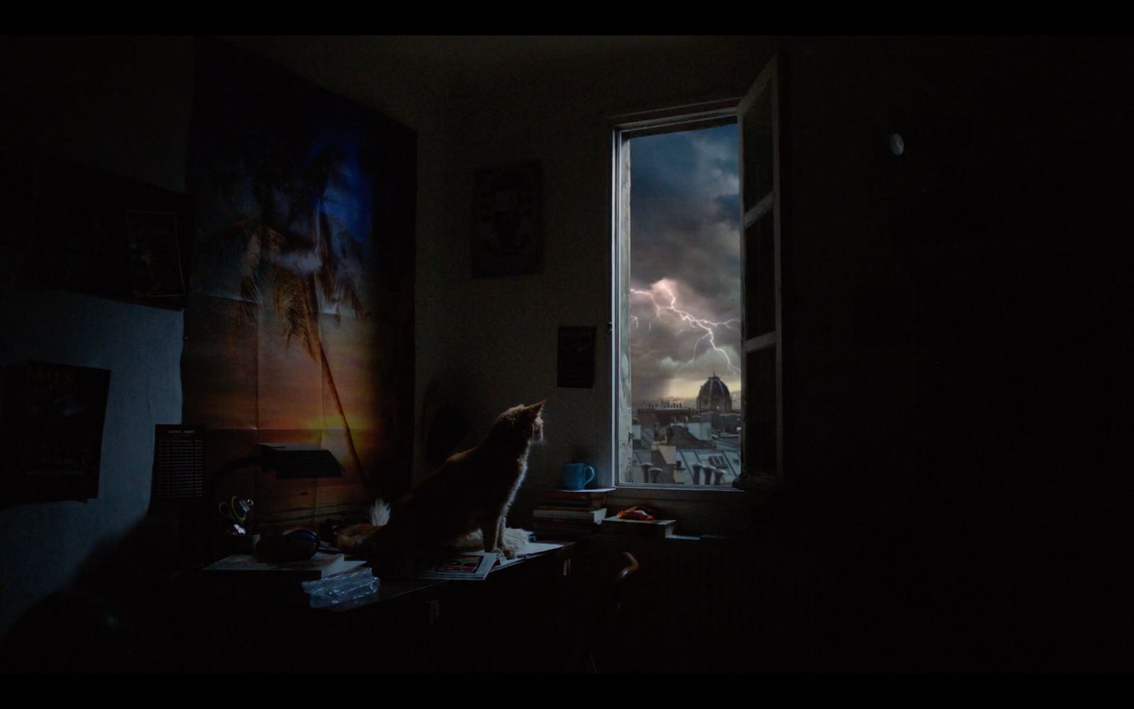 a cat sitting in a dark room looking out a window