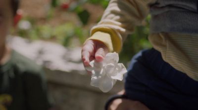 a close up of a person holding a flower