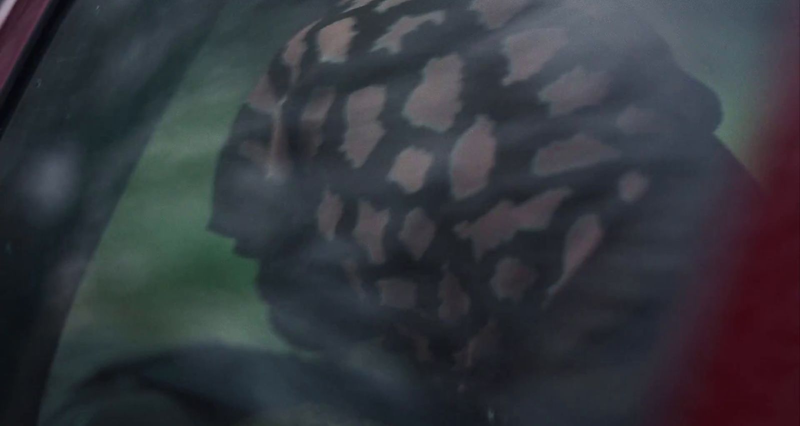the reflection of a man in the window of a car