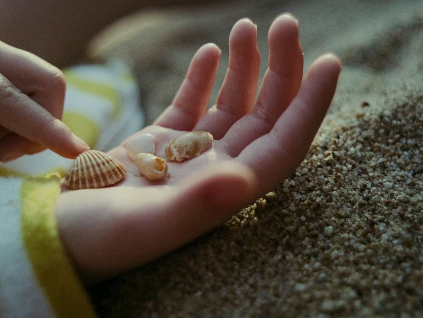 a hand reaching for a shell in the sand