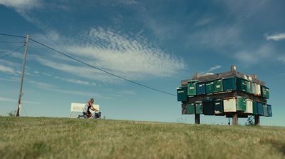 a couple of people sitting on top of a lush green field