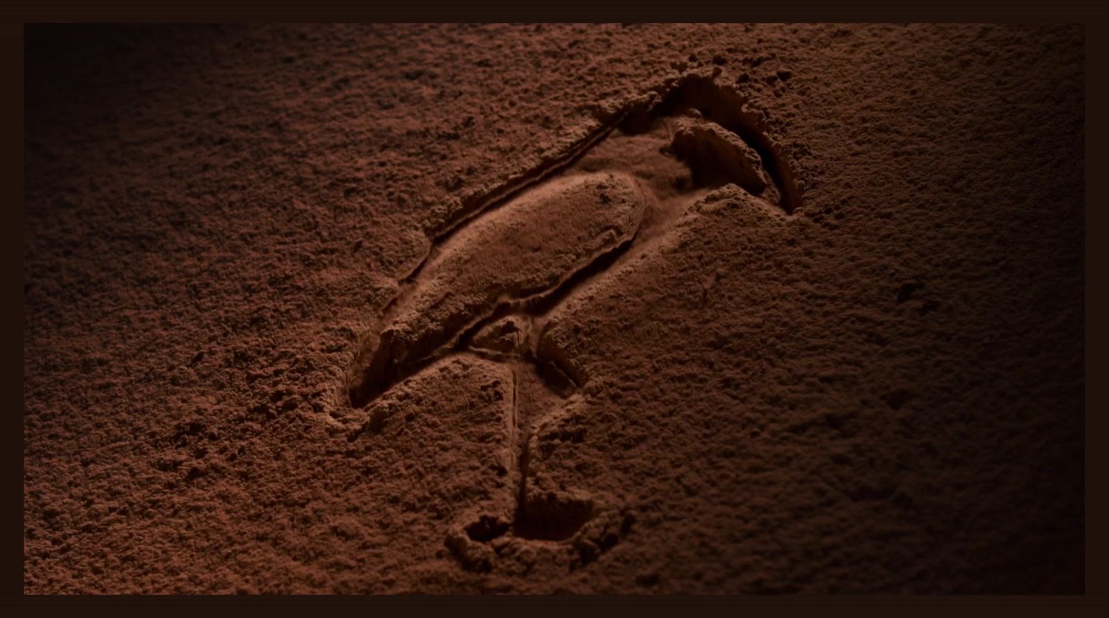 a picture of a bird in the sand