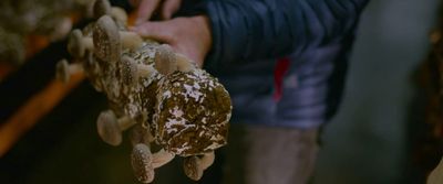 a close up of a person holding a stuffed animal