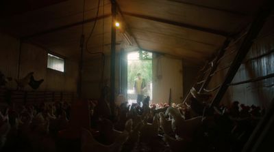 a group of chickens in a barn with a man standing in the doorway