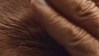 a close up of a person's hand holding something