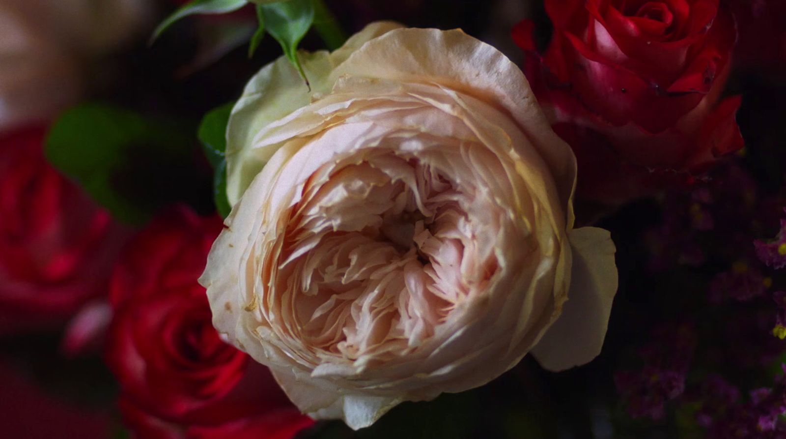 a close up of a bunch of flowers