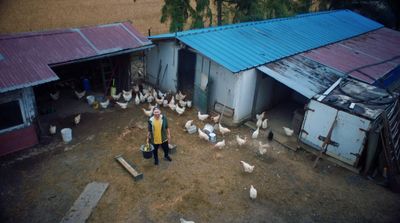 a man standing in front of a bunch of chickens