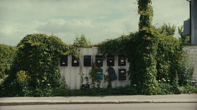 a white fence covered in vines next to a street
