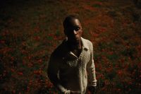 a man standing in a field of red flowers