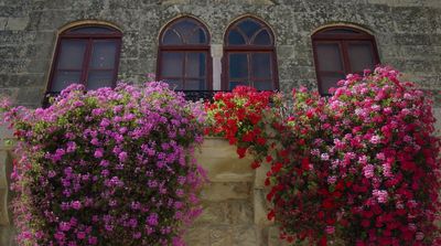 a stone building with three windows and a bunch of flowers