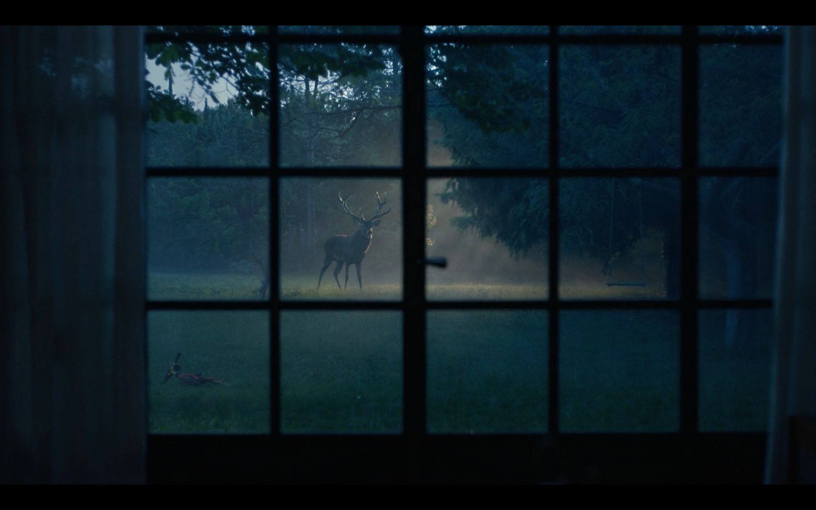 a deer is seen through a window in a dark room