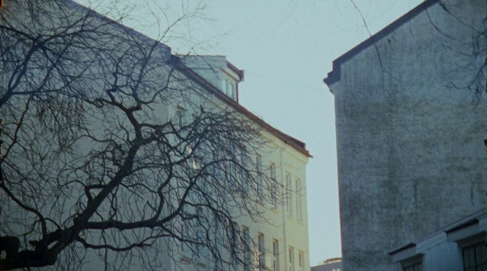 a tall building next to a tree with no leaves