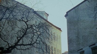 a tall building next to a tree with no leaves