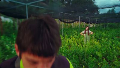 a man standing in a field of tall grass