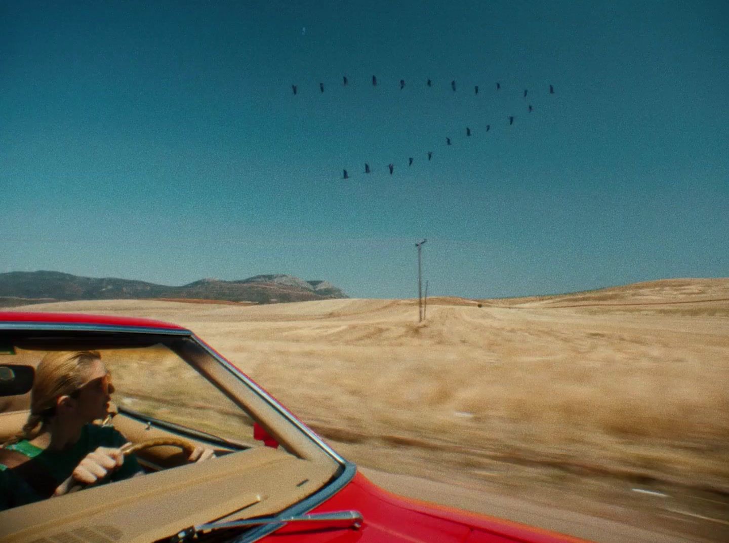 a group of birds flying over a red car