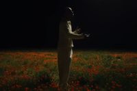 a person standing in a field of flowers