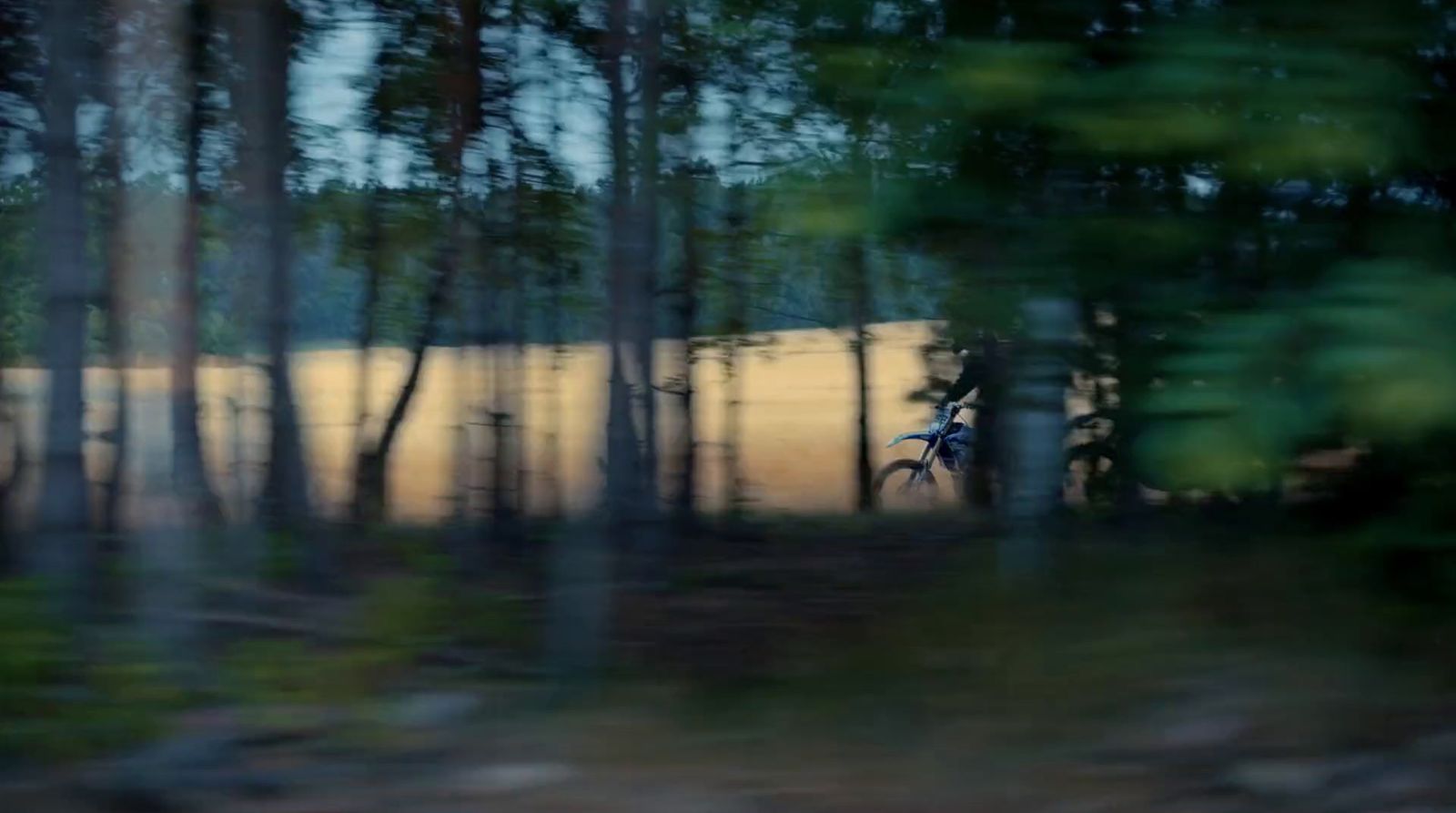 a blurry photo of a person riding a bike in the woods