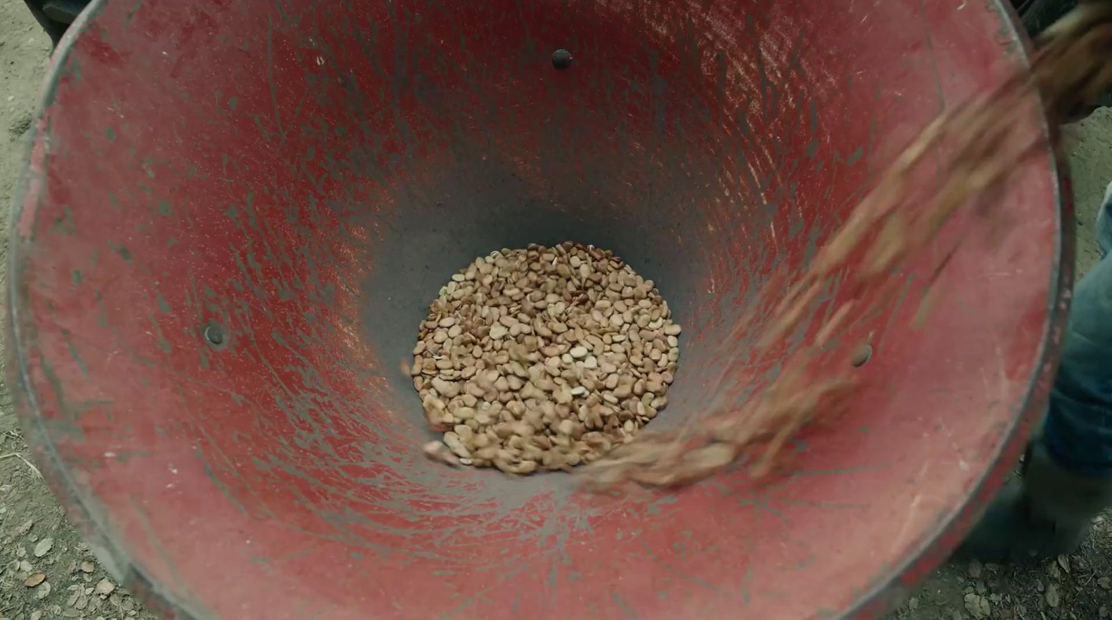 a person pouring water into a red bucket