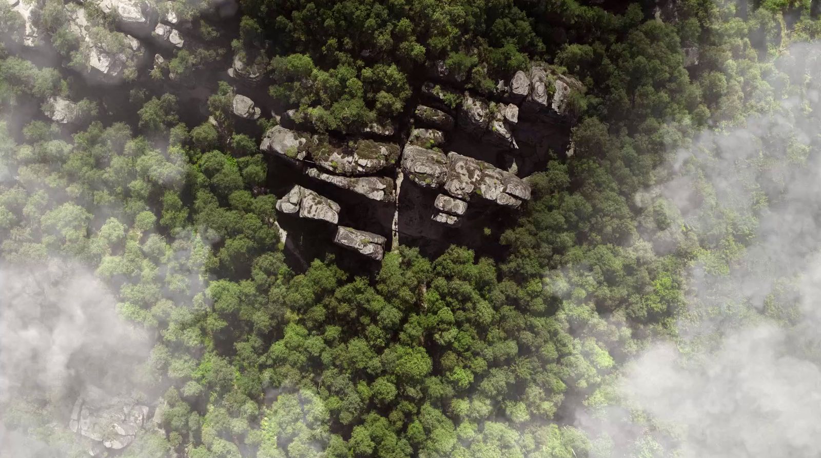 an aerial view of a forest with rocks and trees