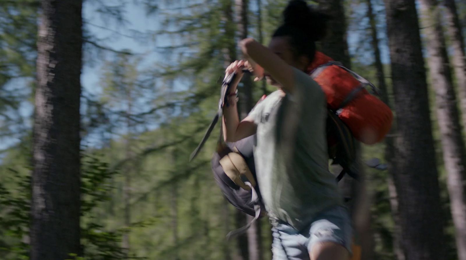 a man walking through a forest carrying a backpack