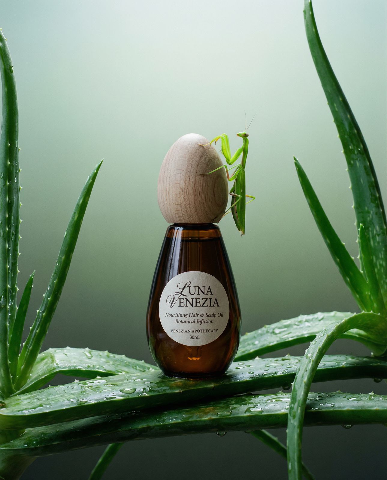 a small insect sitting on top of a green plant