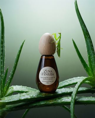 a small insect sitting on top of a green plant